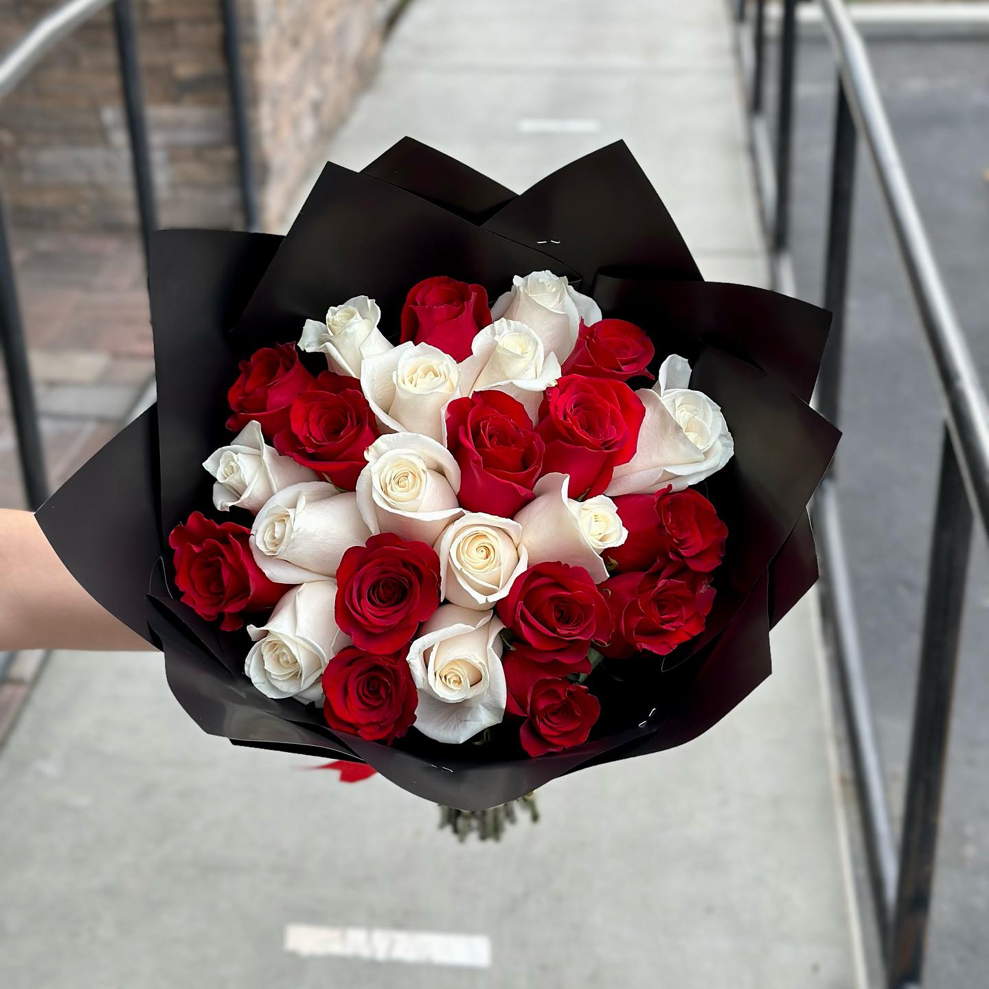 25 rosas premium (rojas y blancas)