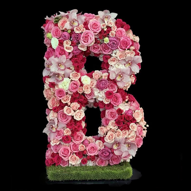 Letra 3D Premium Rose de 500 unidades