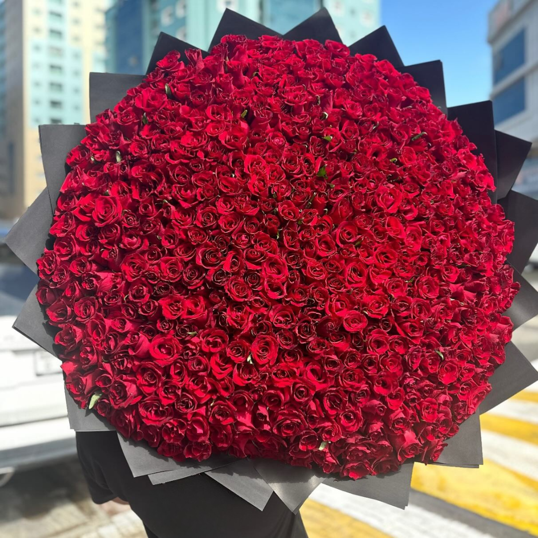 500 rosas rojas premium